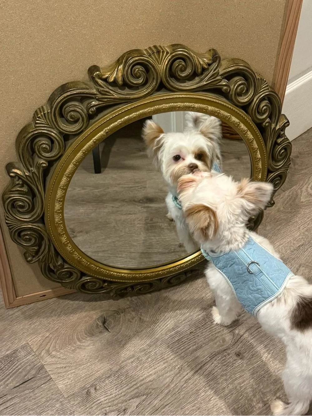 22 Inch Round Mirror - Picture 1 of 3